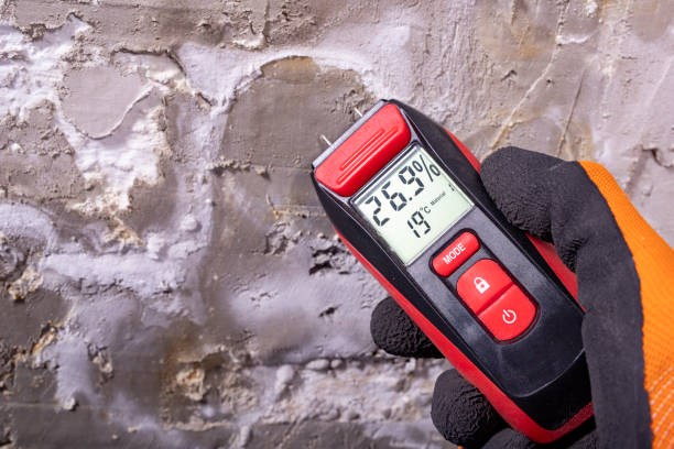 Mold Testing and Removal in Calico Rock, AR