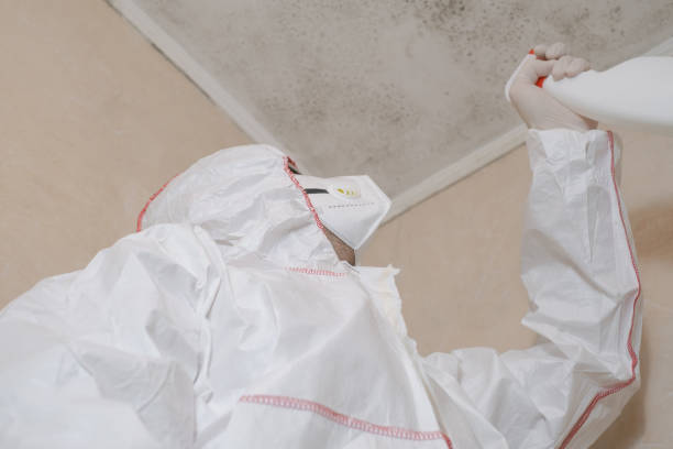 Best Mold Testing  in Calico Rock, AR